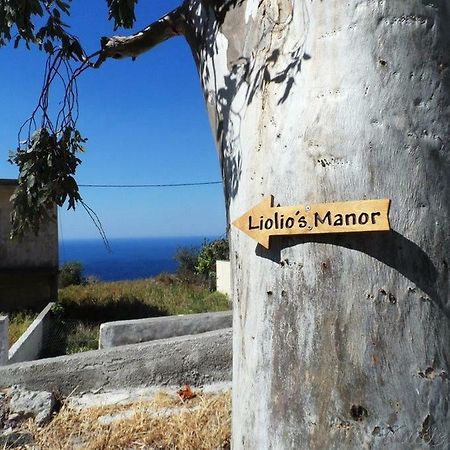 Villa Liolio'S Manor à Agalianos Extérieur photo