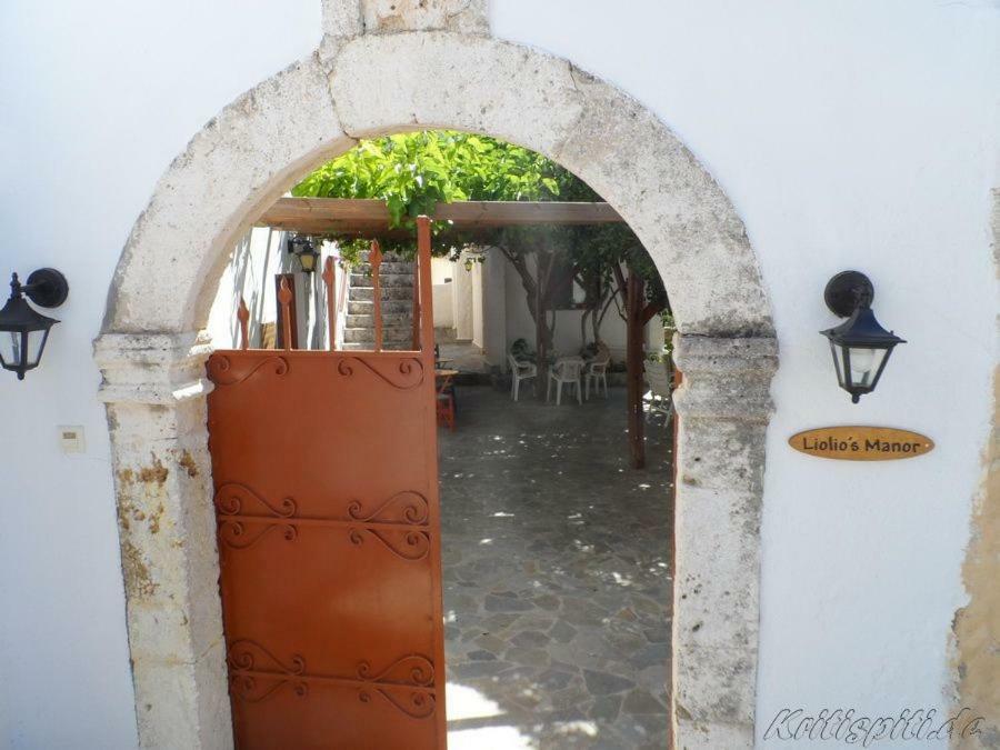 Villa Liolio'S Manor à Agalianos Extérieur photo